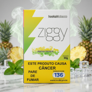 ESSÊNCIA ZIGGY ABACAXI TROPICAL 50G