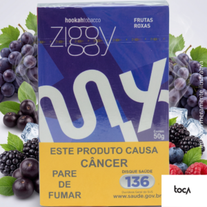 ESSÊNCIA ZIGGY MIX FRUTAS ROXAS 50G